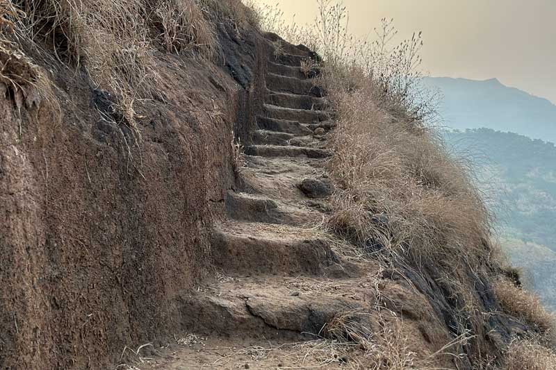 Close-up view of weathered stone steps carved into the rocky terrain of the Savlya Ghat trail. These uneven yet purposeful steps create a primitive staircase winding through the wilderness, offering trekkers secure footing during the challenging descent and ascent through the Sahyadri foothills.