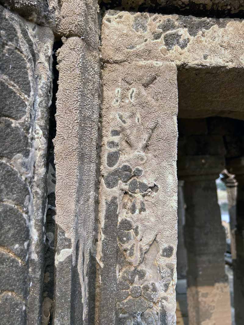 Coat of coral like deposits on stones of the temple