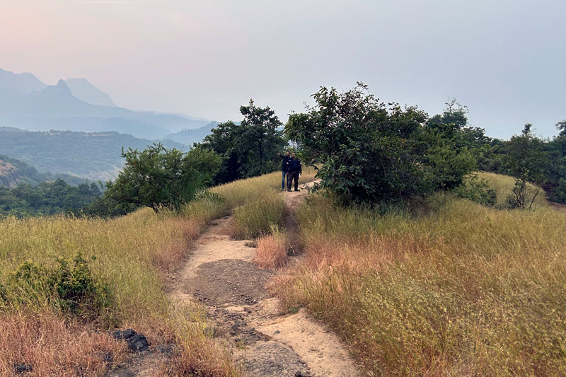 Rugged hiking trail winding through the verdant forest leading to Savlya Ghat, with ribbon markers tied to trees guiding trekkers along the natural stone steps and narrow path that descends into the valley