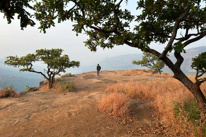 Panoramic view of the expansive Savlya Ghat plateau stretching into the distance, with the majestic Sahyadri mountain range extending along the horizon. The open grassland plateau offers unobstructed views of the surrounding valleys and the dramatic ridgeline of the Western Ghats.