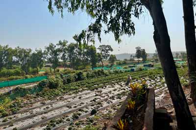 A Triumph Breakfast Ride to Mahabaleshwar & Mapro Garden
