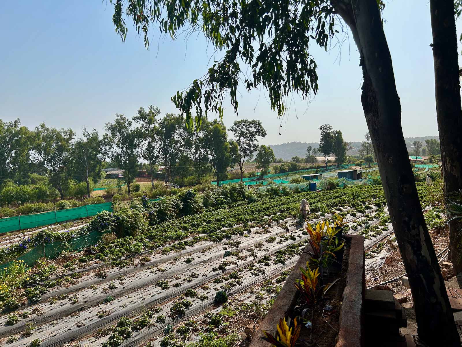 Mahabaleshwar, India