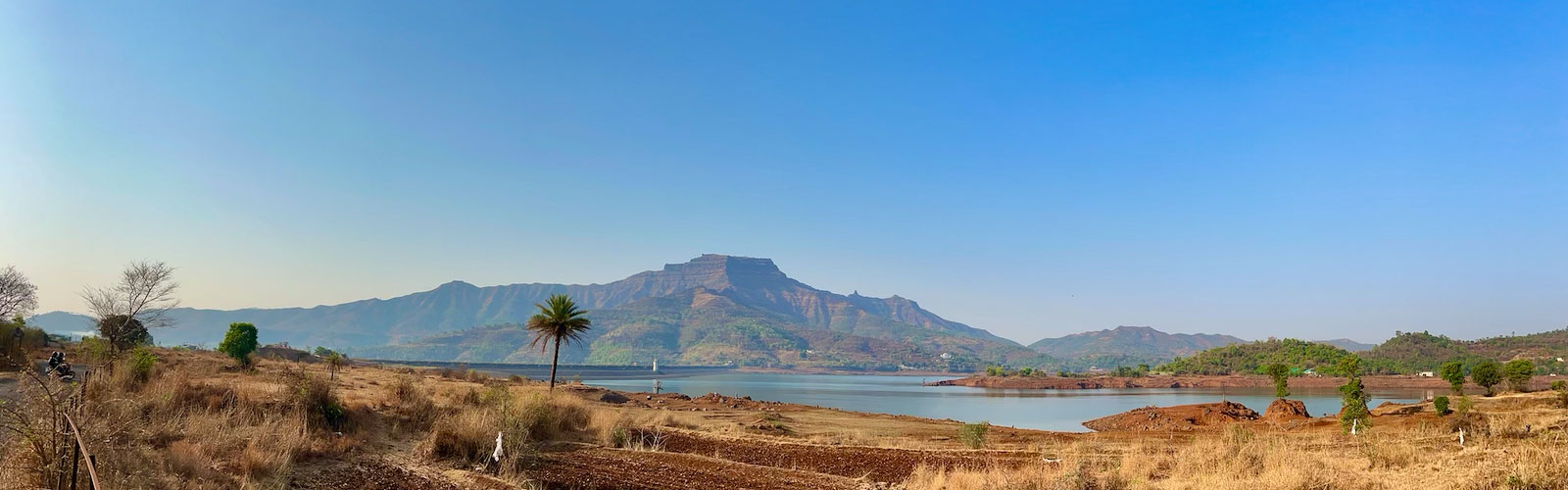 Wide panoramic view of Torna Fort rising majestically above Gunjavne Dam waters, with dry summer landscape in the foreground and a lone palm tree adding character to the scene